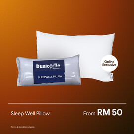 Sleep Well Pillow